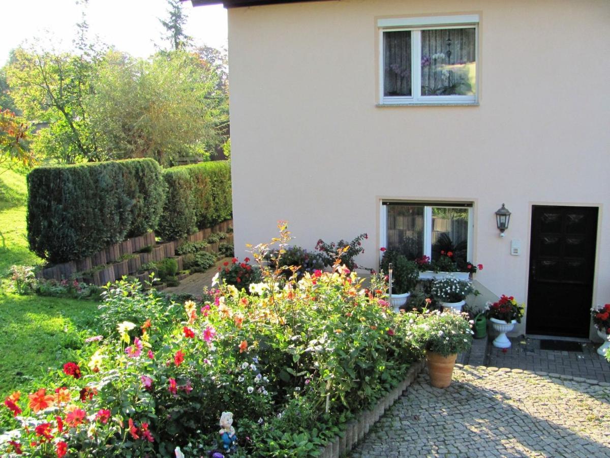Beautiful Apartment In D Rnthal Near The Forest Voigtsdorf Exteriör bild
