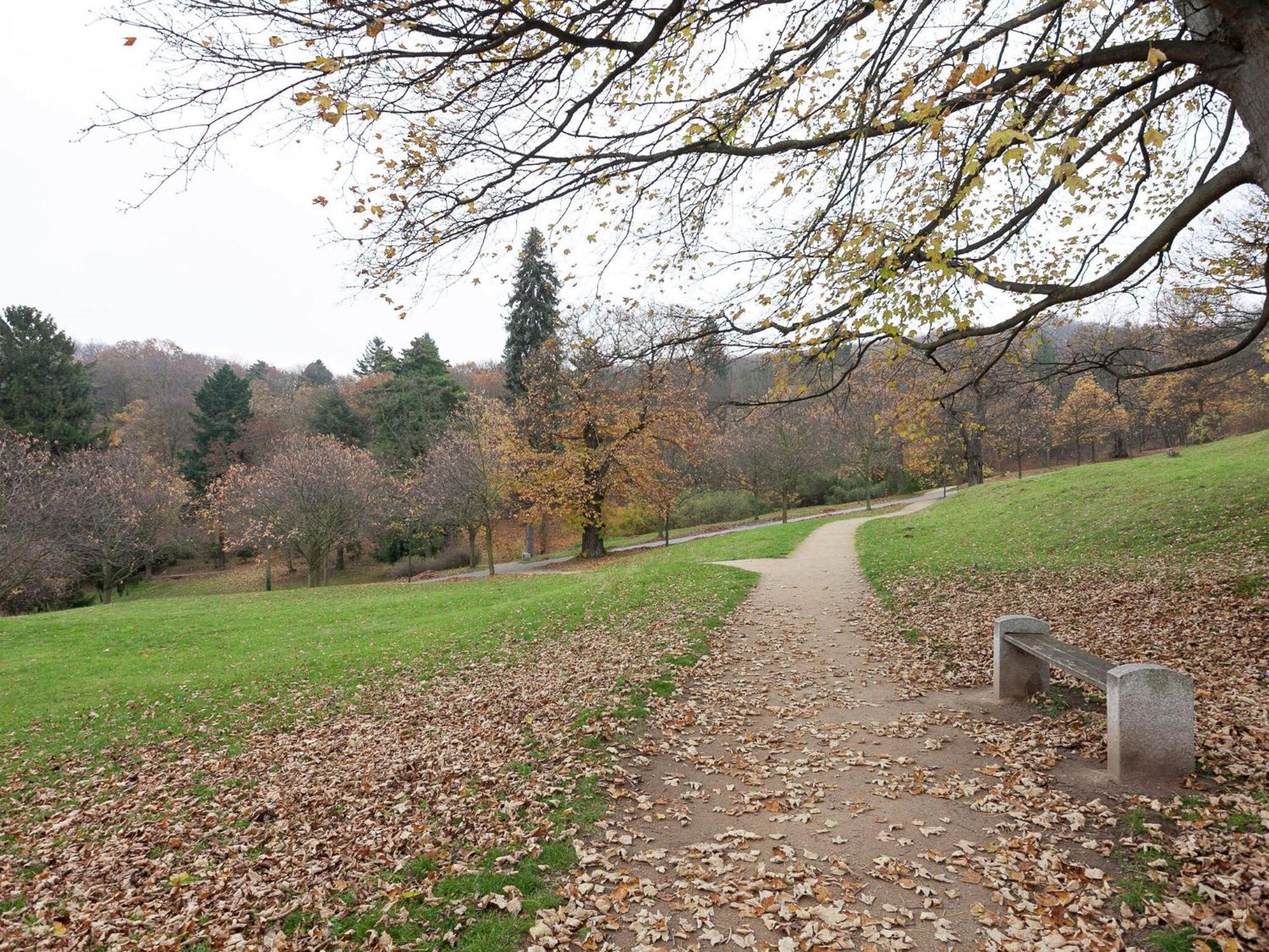 Beautiful Apartment In D Rnthal Near The Forest Voigtsdorf Exteriör bild